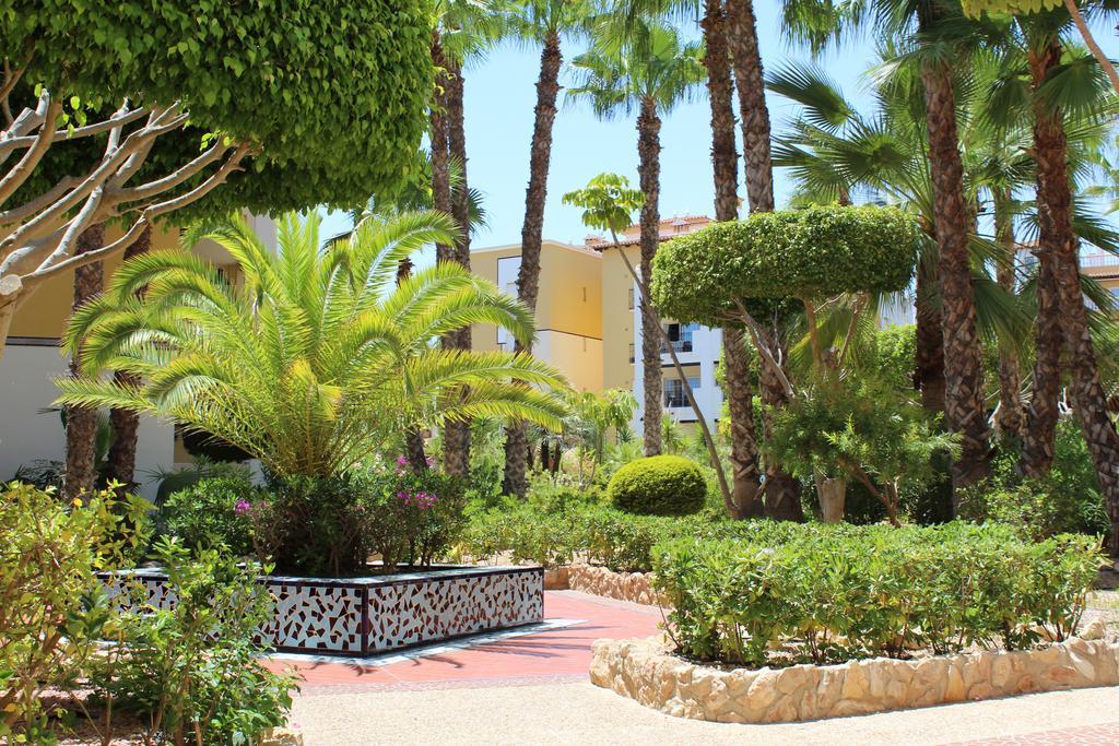 Aldea Del Mar Lejlighed Torrevieja Eksteriør billede